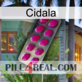 Cidala 09